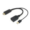 FS11701.jpg DP - HDMI アダプター 4K 60Hz ビデオ解像度サポート