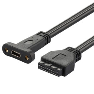 Câble de montage sur panneau pour carte mère 20 broches vers USB 3.1 Type C