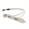 FSP5000-1.jpg Кабель-адаптер USB 9PIN на 2 порта USB A Female Slot Plate