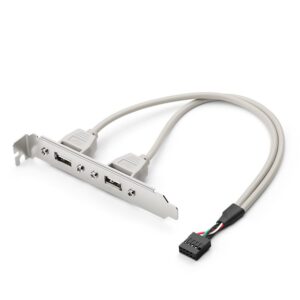 Cabo adaptador de placa de slot fêmea USB 9PIN para 2 portas USB A