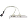 FSP5000.jpg Кабель-адаптер USB 9PIN на 2 порта USB A Female Slot Plate
