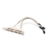 FSP5001-2.jpg Двойной USB 9PIN на 4 порта USB A гнездо USB слот пластина адаптер кабель