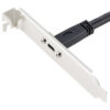 FSP5109-2.jpg Кабель-адаптер USB 3.0 20PIN Female to USB Type-C Slot Plate