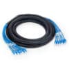 FS17401 (1) Cat6 UTPケーブル、オスメスネットワークケーブルトランク