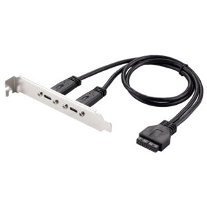 Cable adaptador de placa de ranura USB C de 2 puertos a USB 3.0 de 20 pines hembra